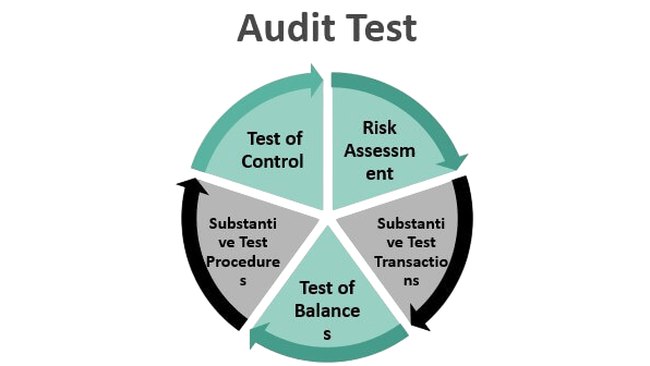 Audit Test Article