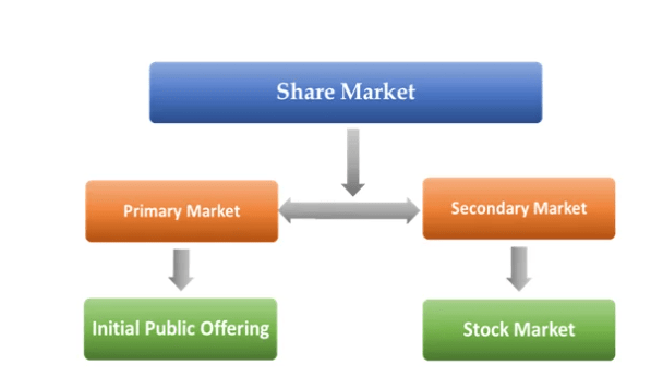 Primary and Secondary Markets Article