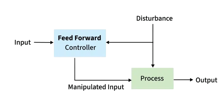 Feed Forward Article