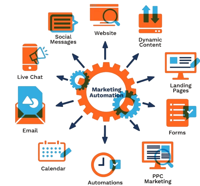 Marketing Automation Article
