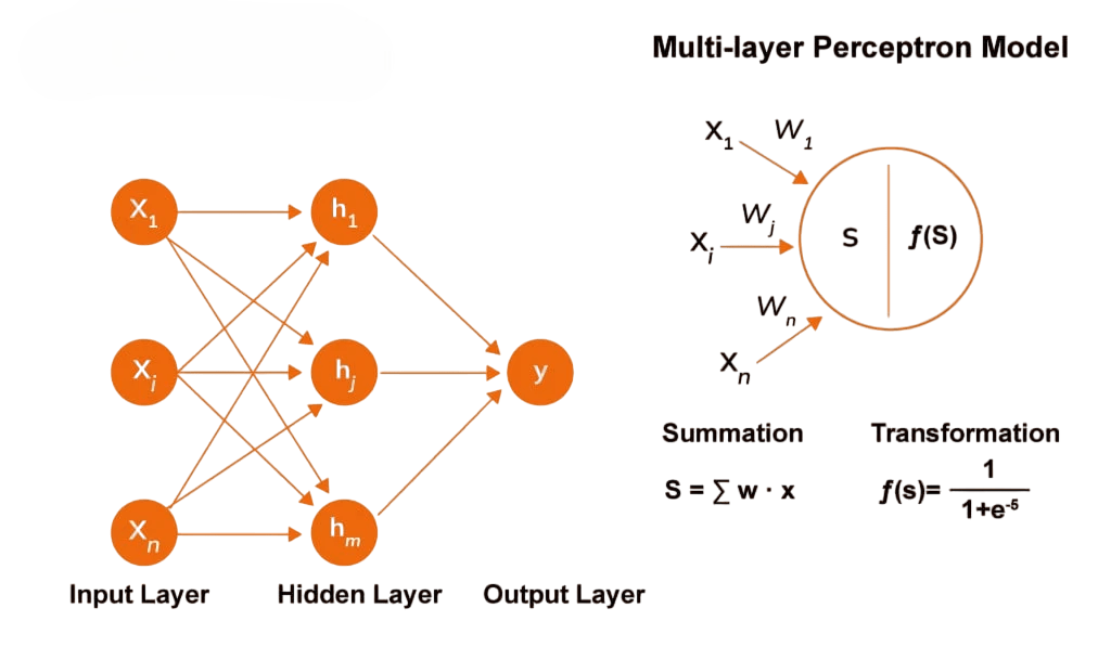 Multi Layer Perceptron (MLP) Article