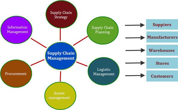 Supply Chain and Logistics Article