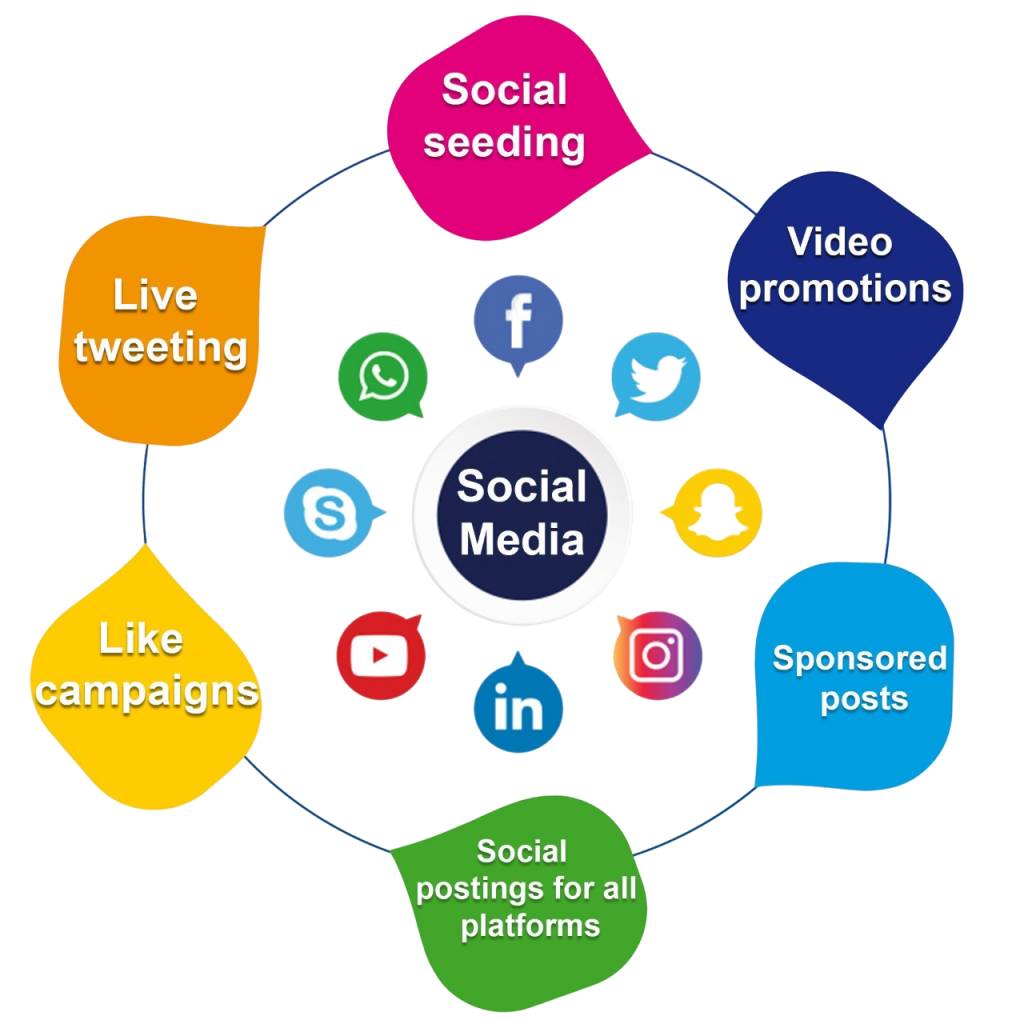 Popular Social Media Platforms Article