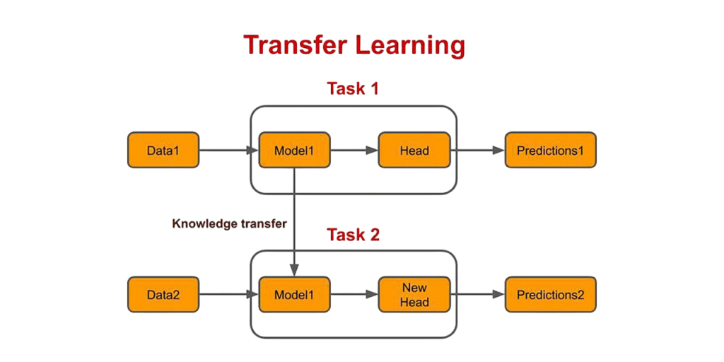 Transfer Learning Popular Architectures Article