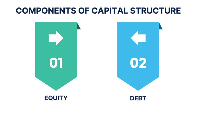Components: Equity and Debt Article