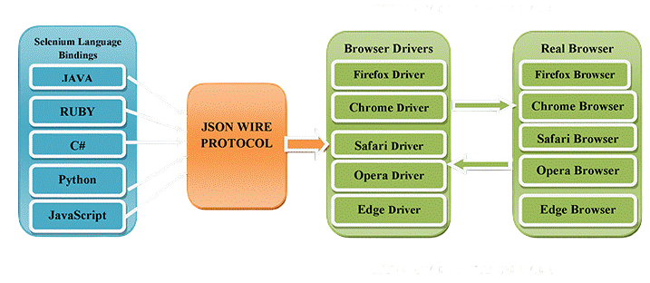 Web Automation with Selenium and Requests Article
 