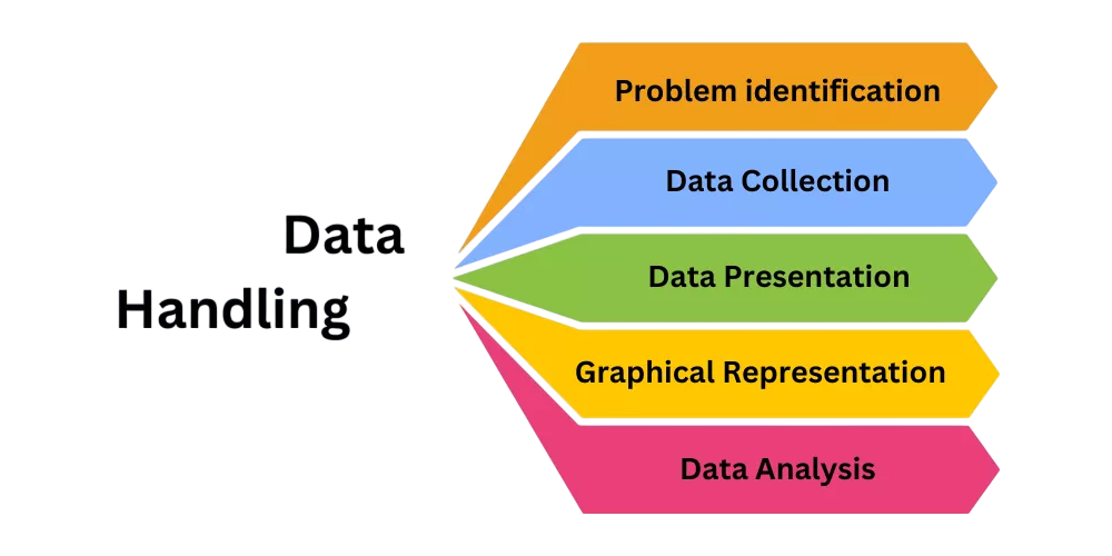 Data Handling and Manipulation  Article