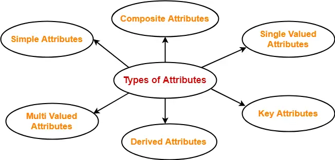 Types of Attributes in DBMS Article
