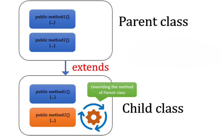 Base Class vs Derived Class Behavior Article