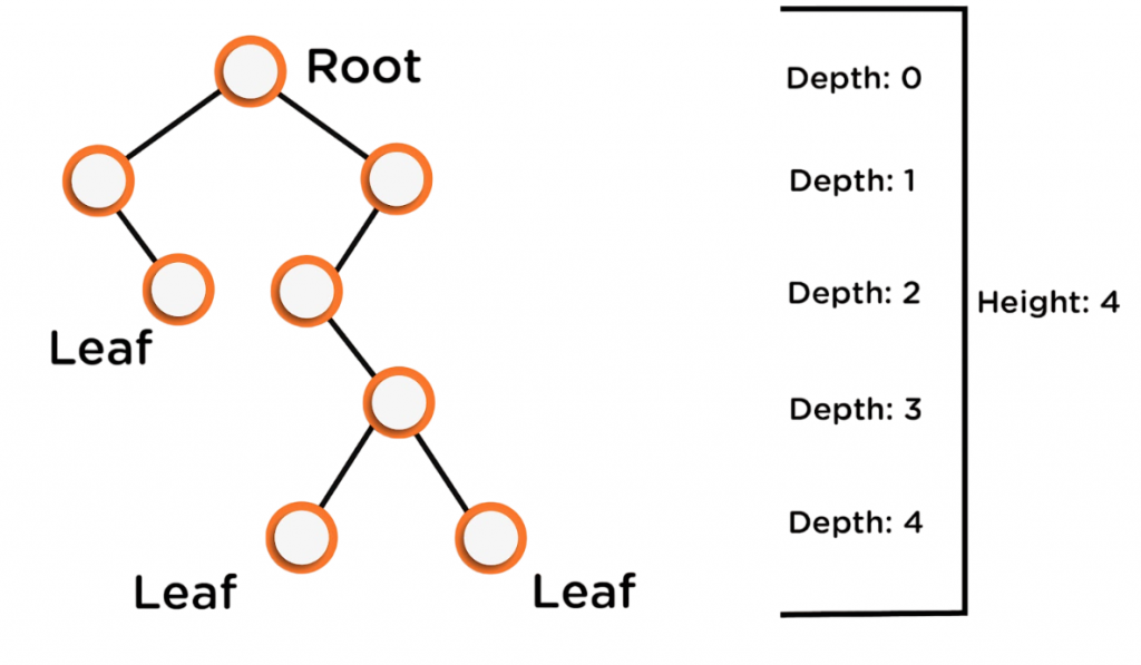Binary Tree Recap Article