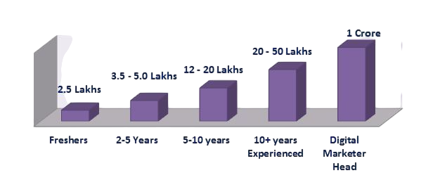 Digital Marketing Salary by Experience Article
