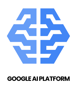 Google AI Platform