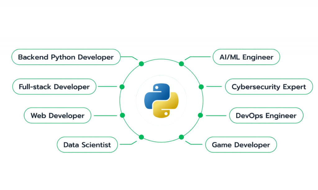 Understanding the Role of a Python Developer Article