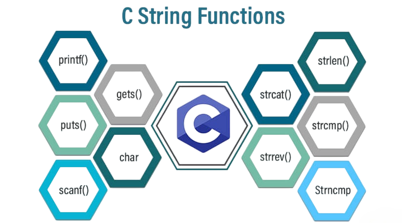 String Handling Programs Article