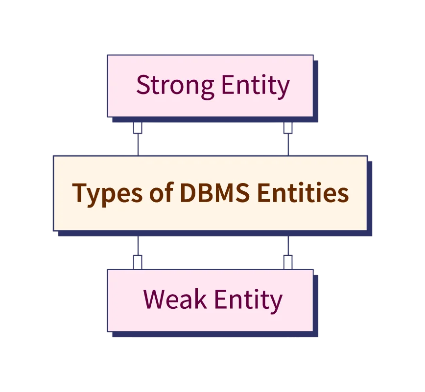 Entity Types in DBMS Article
