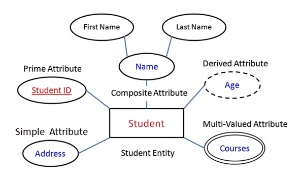 Attributes and Relationships Article