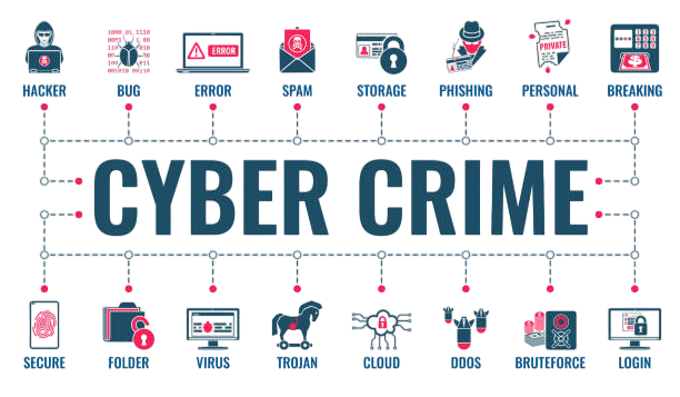 Cyber Laws and Regulations Article