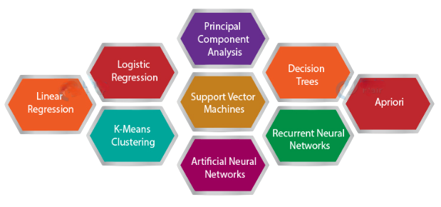 What Are Algorithms in Data Analytics? Article