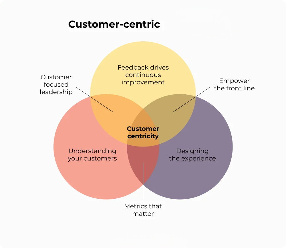 Customer-Centric Strategies with Data Muscle Article