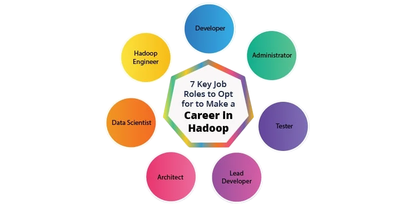 Who is a Big Data Hadoop Professional? Article