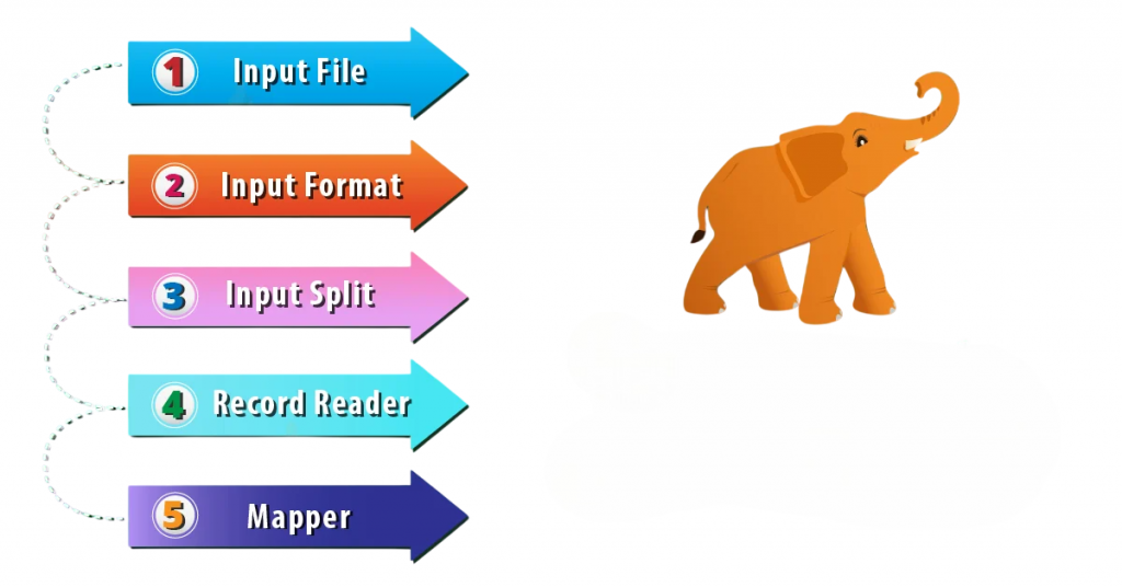 Input and Output Formats Article