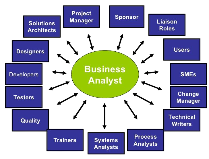 Job Roles and Employers Article