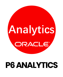 P6 Analytics