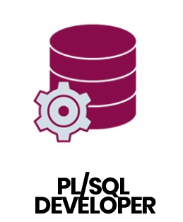 PL/SQL Developer