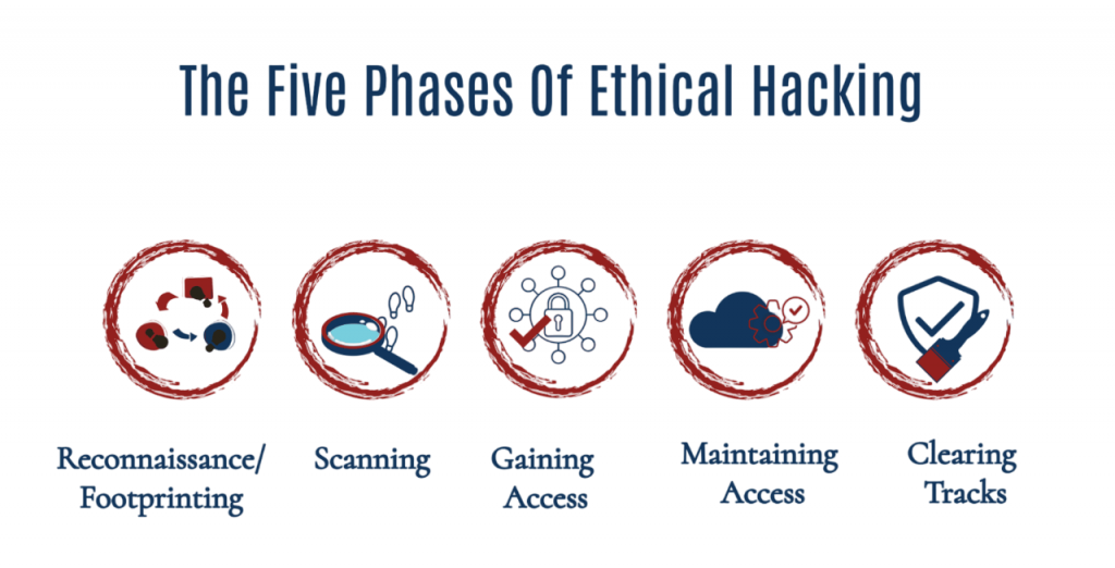 Ethical Hacking Phases Article