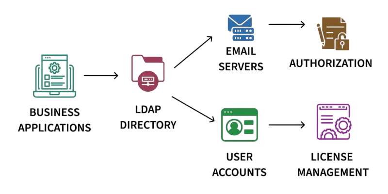 Types of Enumeration-Acte