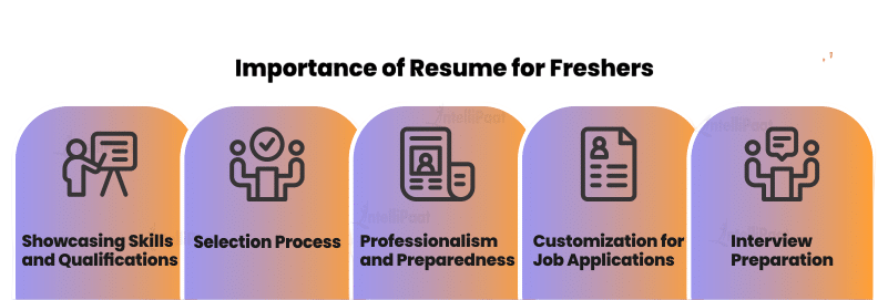 Why is It Important for Freshers to Have a Resume Article
