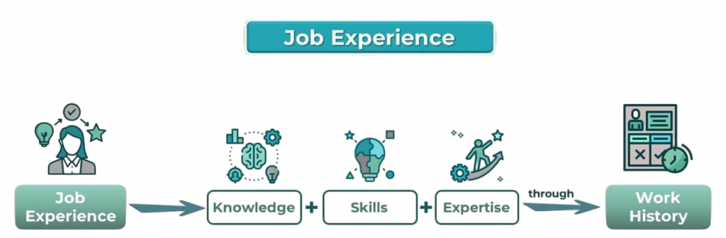 Work Experience Article