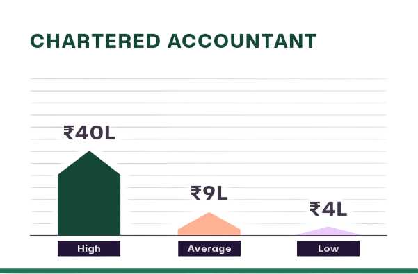 Chartered Accountant (CA) Article