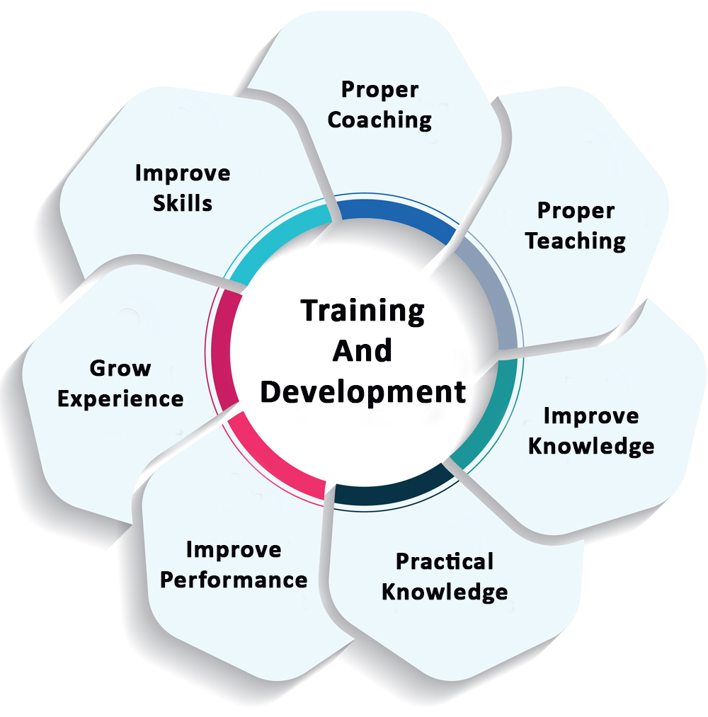 The Significance of Training and Development Article