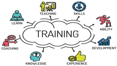 What is Training and Development? Article