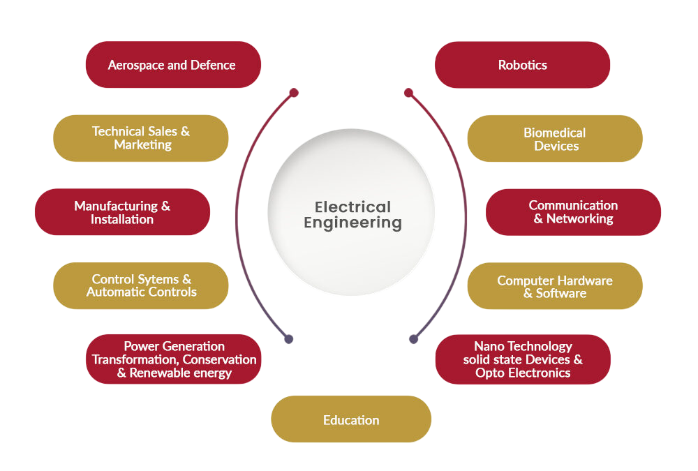 Electrical and Electronics Engineering Roles Article