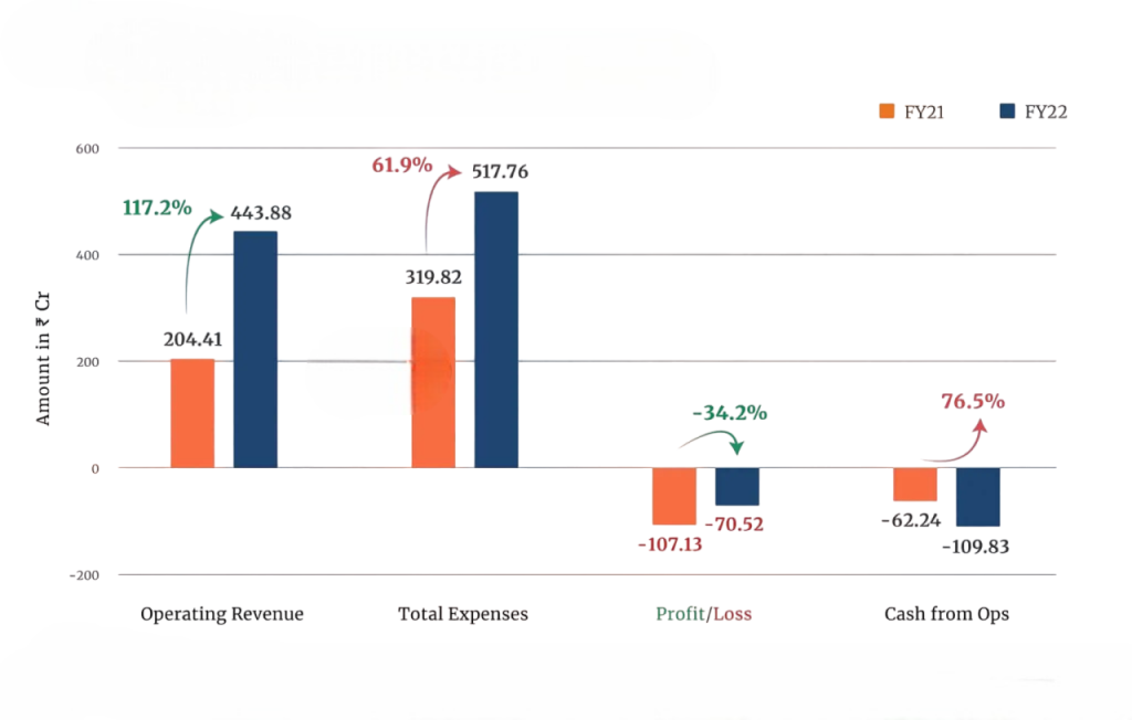 Mahindra Electric Article