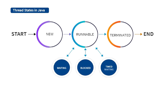 life cycle of a threads in java IQ