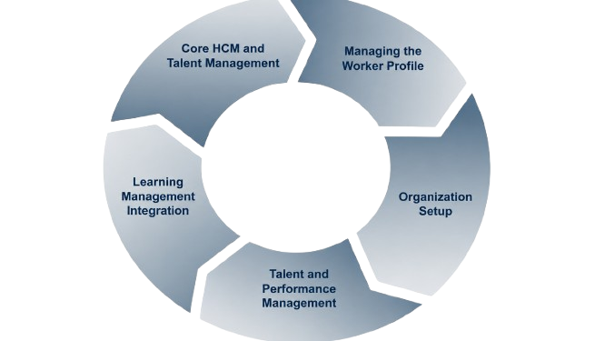 Core HCM and Talent Management Article