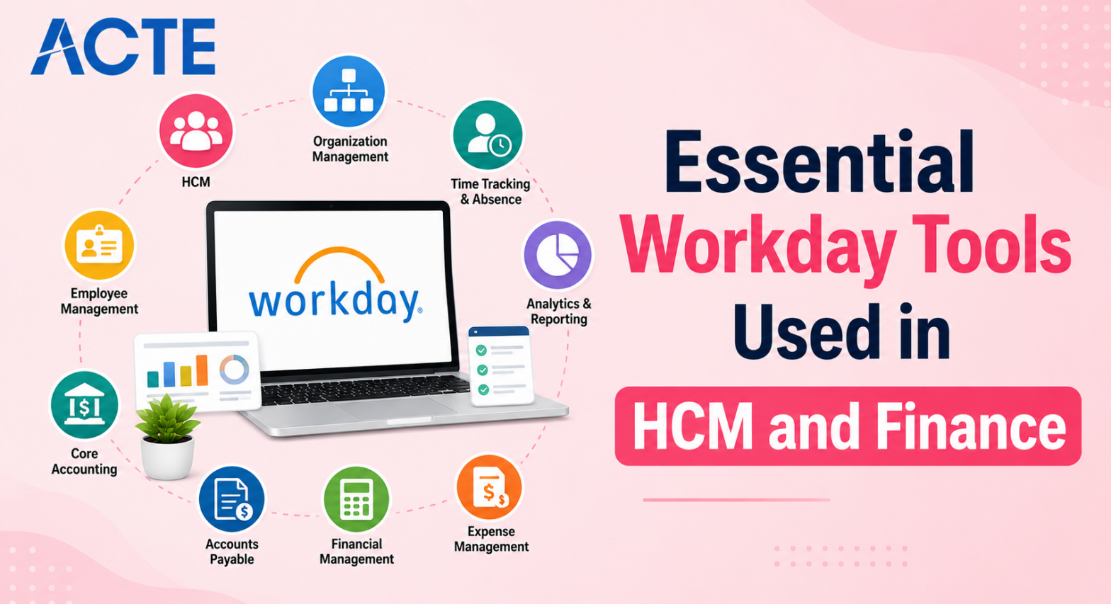 Essential Workday Tools Used in HCM and Finance Article