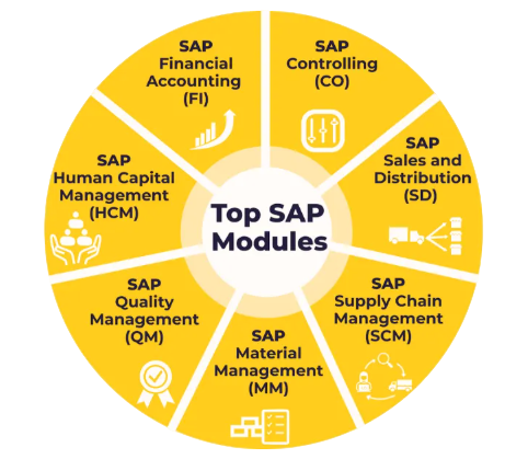 Exploring SAP ERP Modules for Beginners Article
