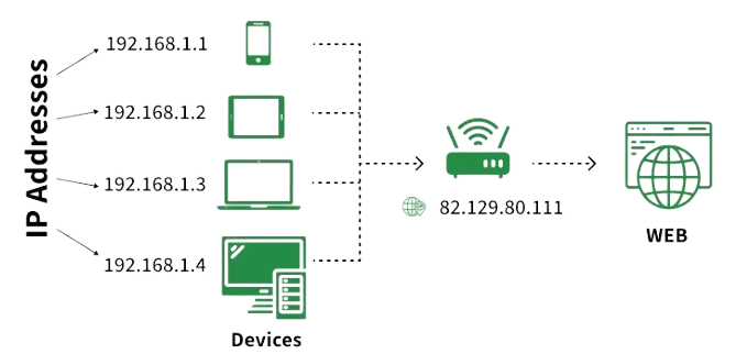 IP Adresses Article
