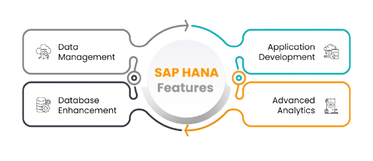 Key Features and Benefits of SAP S4HANA Tutorial