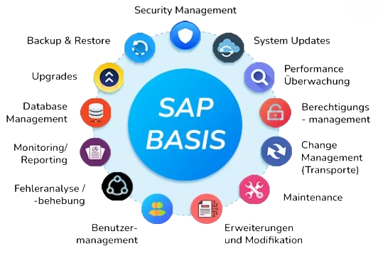 SAP BASIS Article