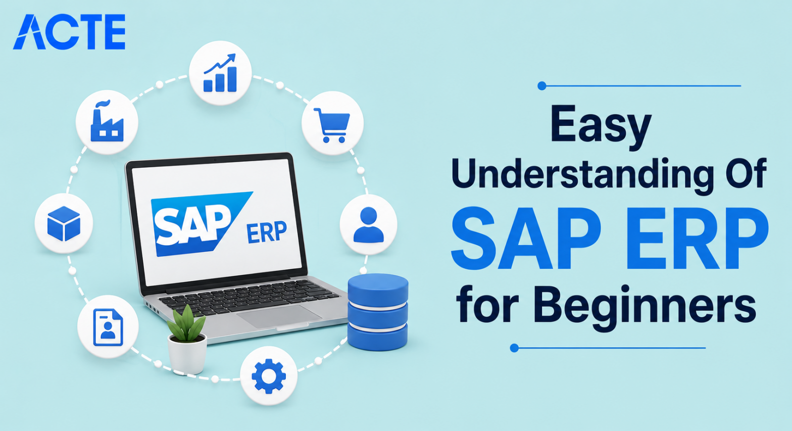 SAP ERP For Beginners Article