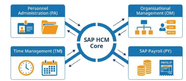 SAP HCM Article