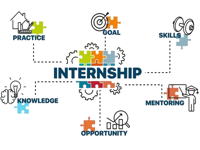 Skills Freshers Gain During Internships Article