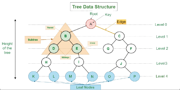 Tree Data Structure Article