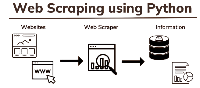 Web Scrpting In Python Article