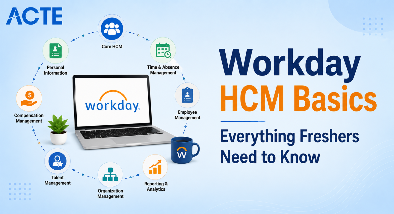 Workday HCM Basics Article